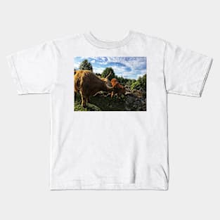 Scottish Highland Cattle Calf 1780 Kids T-Shirt